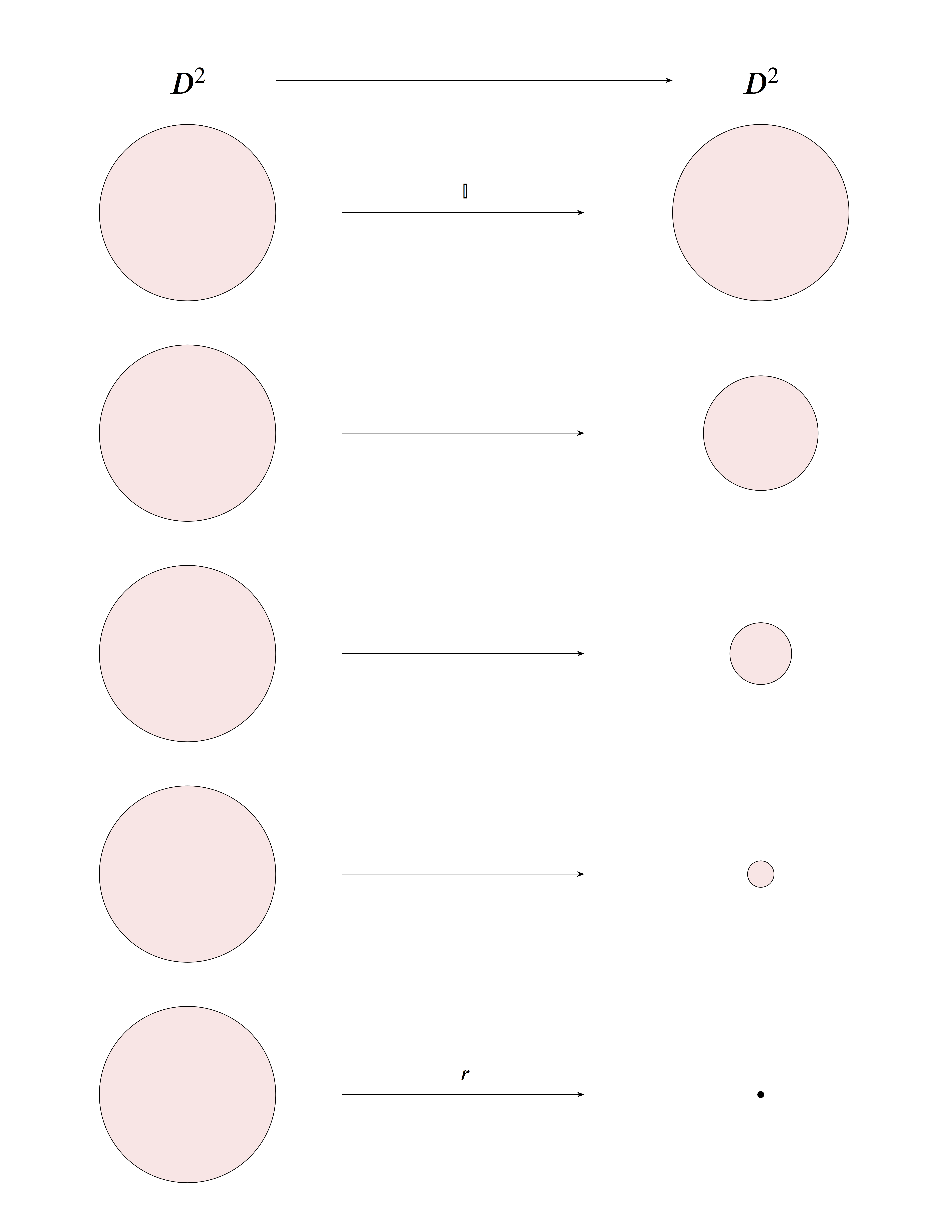 deformation retractions unit disk to origin