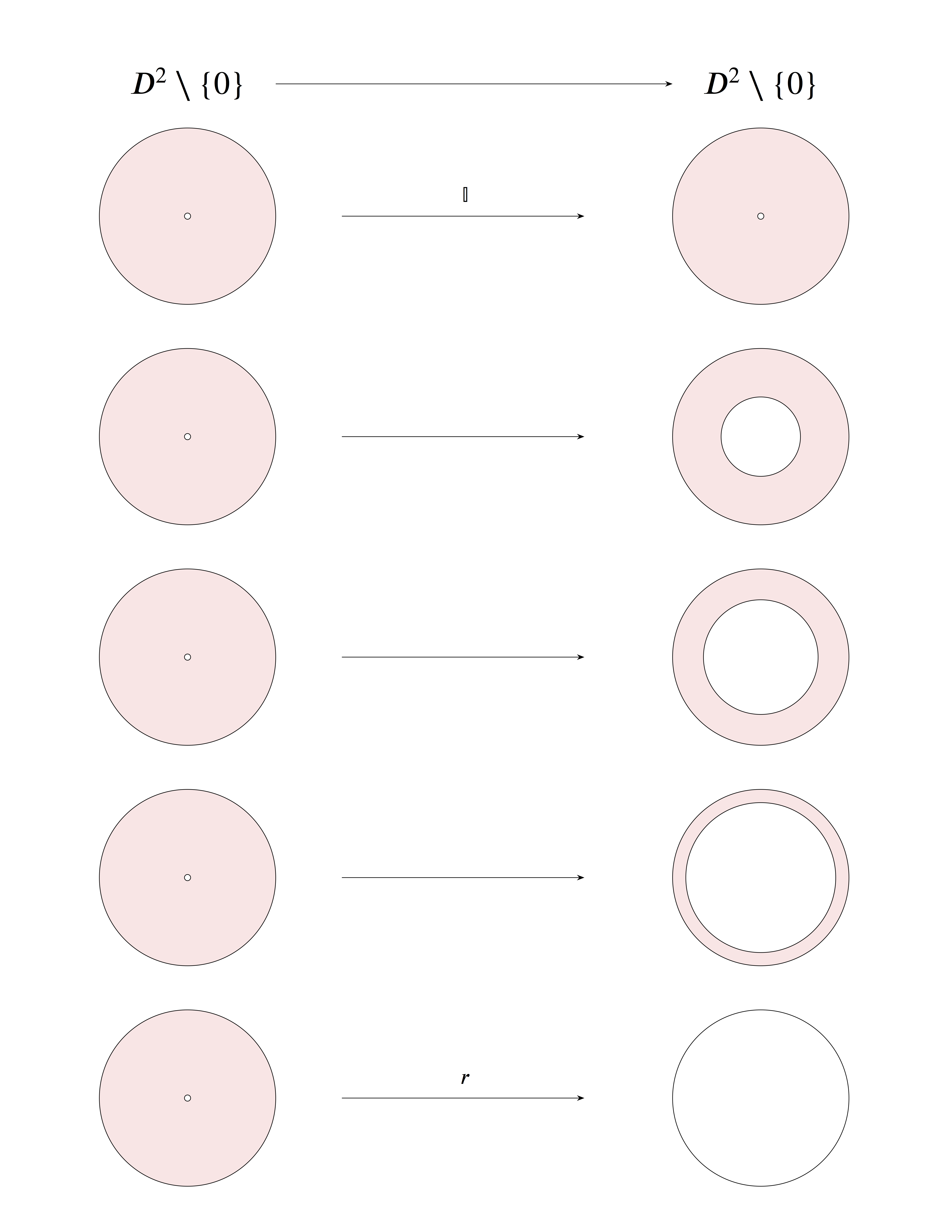 deformation retractions D^2-{0} to circle