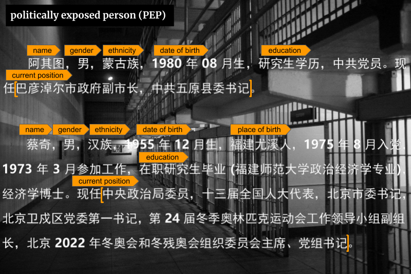 Illustration of Named entity recognition (NER) - politically exposed person (PEP)